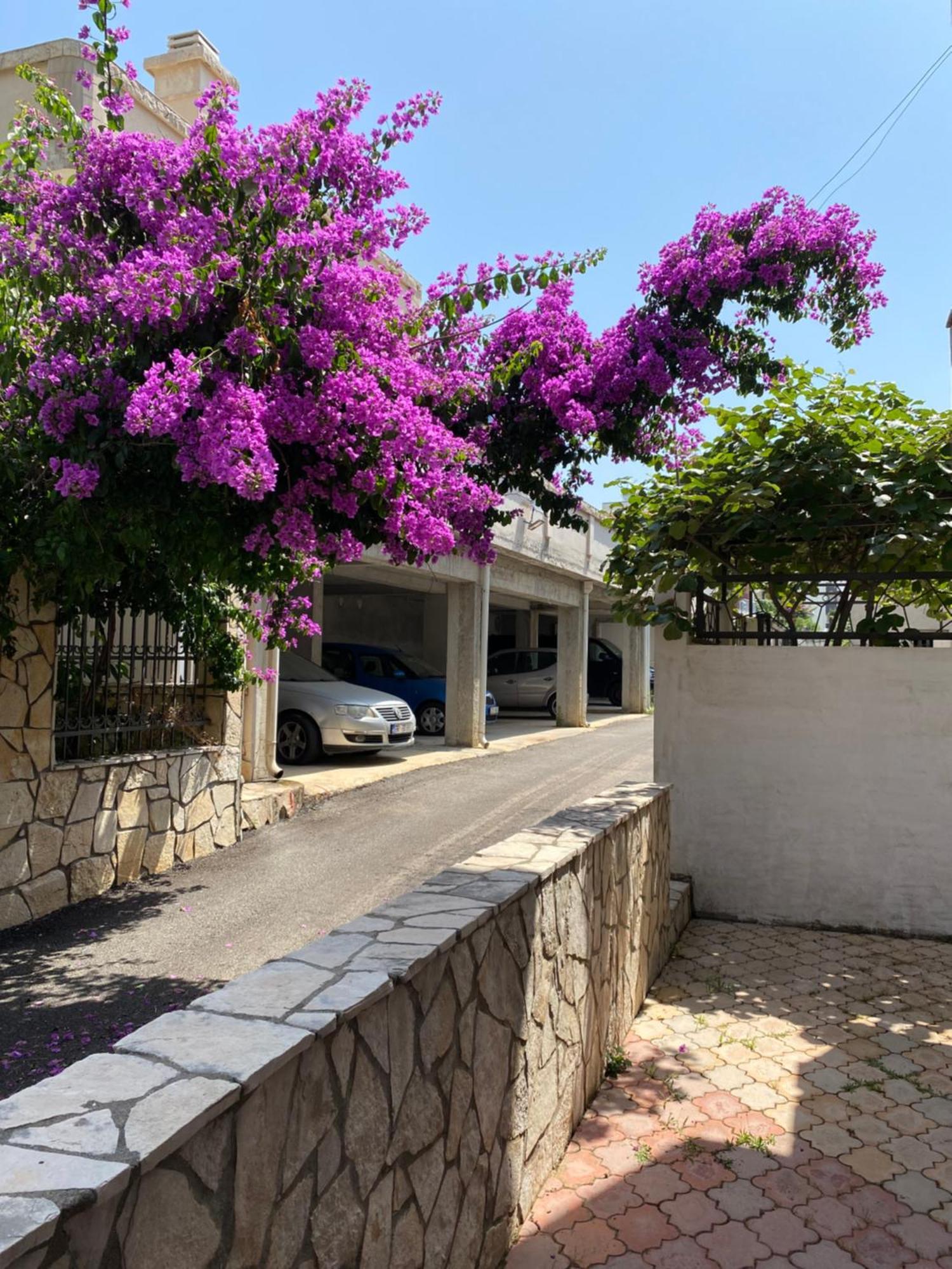 דוברה וודה Apartments Vila Kurtagic מראה חיצוני תמונה